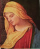 19 Giorgione - Madonna leggente - Particolare della Madonna