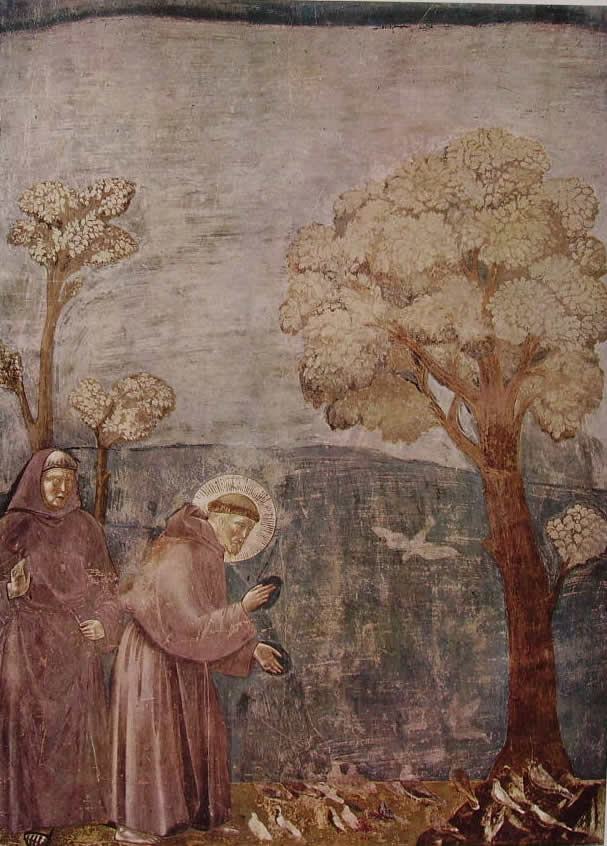 Giotto: La predica agli uccelli (Assisi)