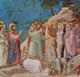 26 Giotto - La resurrezione di Lazzaro