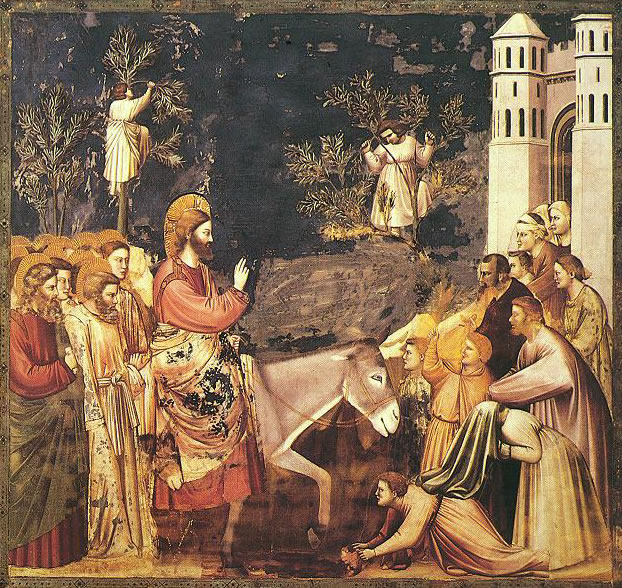 28 Giotto - L'ingresso a Gerusalemme - assieme