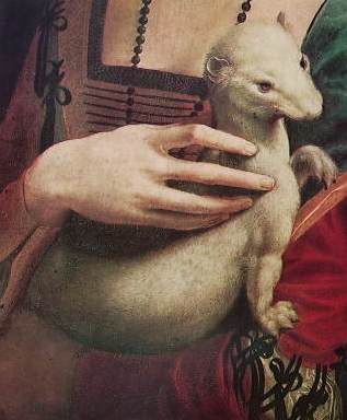 Leonardo - ritratto di donna con ermellino