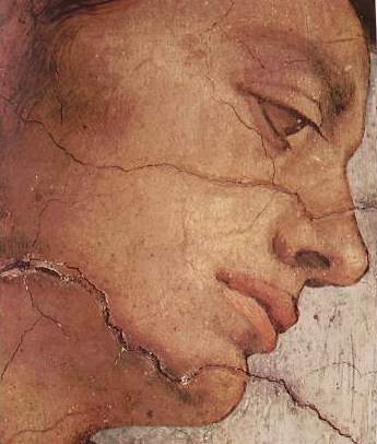 Michelangelo Buonarroti: Particolare del volto di un Ignudo - Cappella Sistina