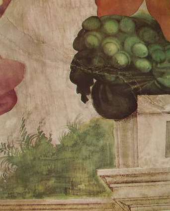 Michelangelo - Volta della Cappella Sistina, particolare di un Ignudo, con cornucopia