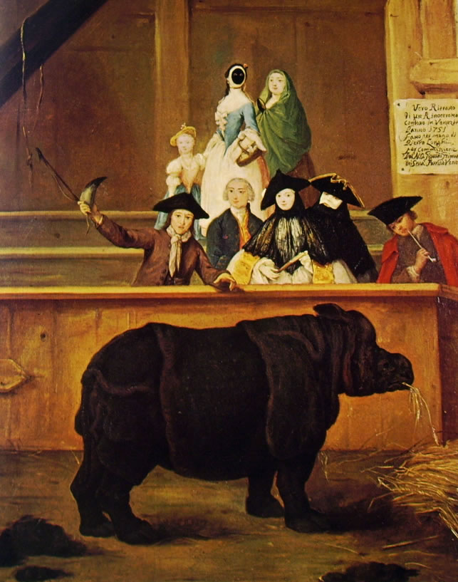 Pietro Longhi: Il rinoceronte (Ca' Rezzonico)