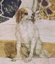 affreschi di maser stanza del cane
