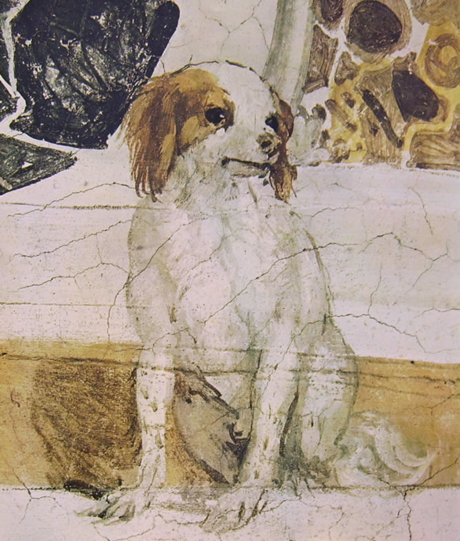 Il Veronese: Affreschi di Maser - "Stanza del cane"