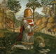 Ritratto di giovane cavaliere, 1504-1505 