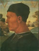 Ritratto di Vitellozzo Vitelli, 1492-96, tecnica ad olio su tavola, 42 × 33 cm., Villa I Tatti, Firenze.