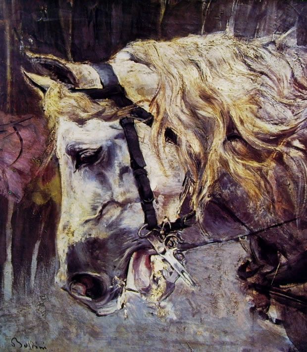 Giovanni Boldini: Testa di cavallo bianco (Collezione Rizzoli)