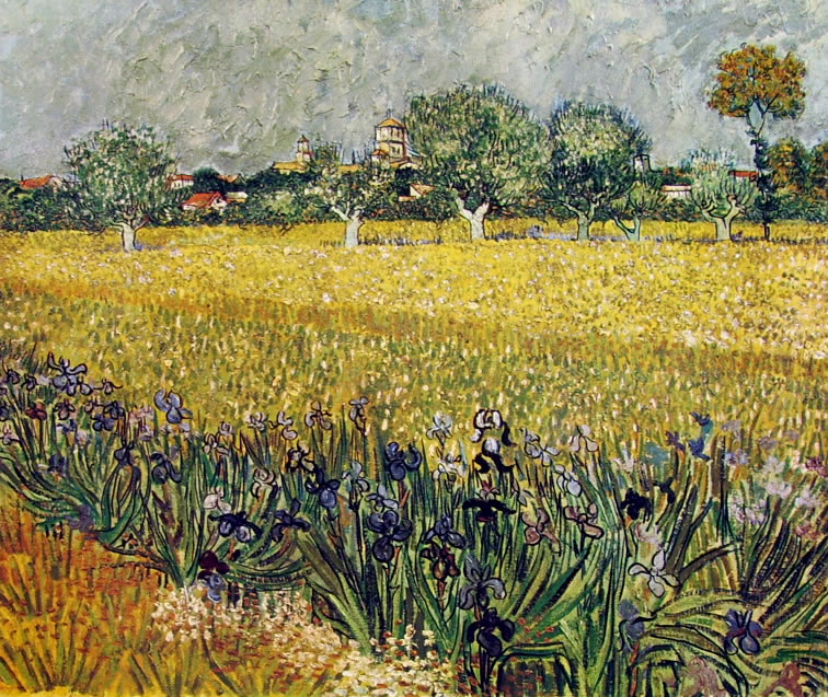 Campo con iris e veduta di Arles