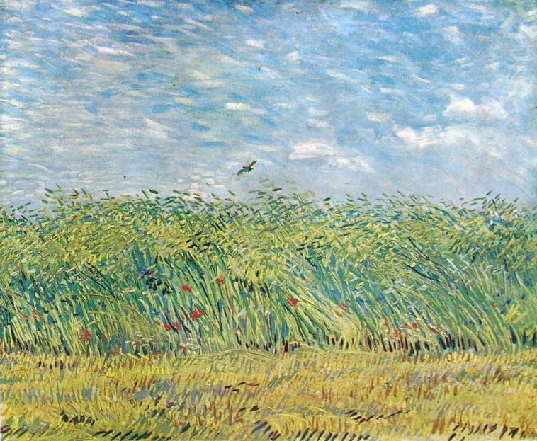 Vincent van Gogh: Limitare di un campo di grano