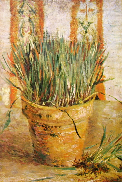 Vincent van Gogh: Pianta d'aglio