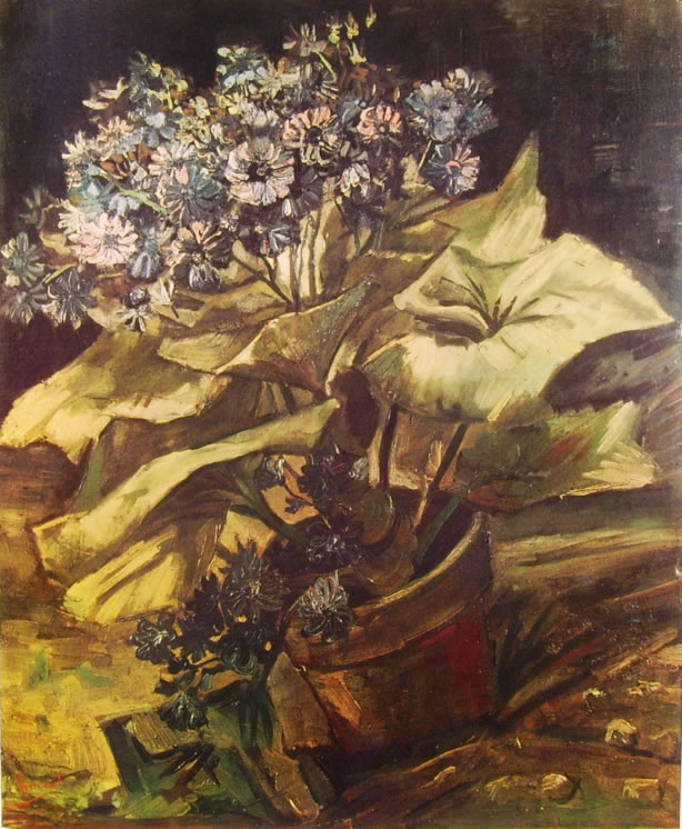Vincent van Gogh: Pianta di cinerarie