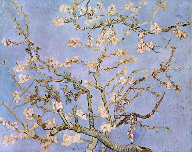 Vincent van Gogh: Rami di mandorlo in fiore