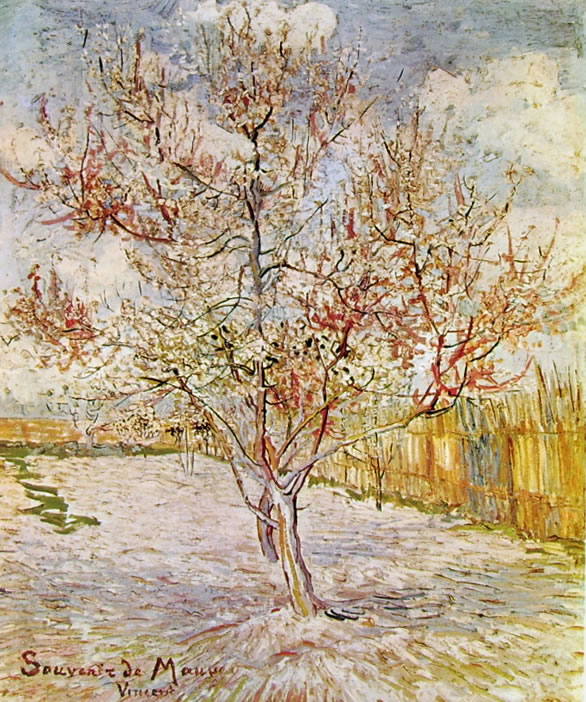 Vincent van Gogh: Ricordo di Mauve