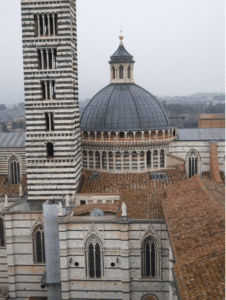 Scopri di più sull'articolo Cupola, fiancate, campanile e facciata posteriore del duomo di Siena