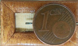 confronto marina in cruna di ago con moneta da un centesimo